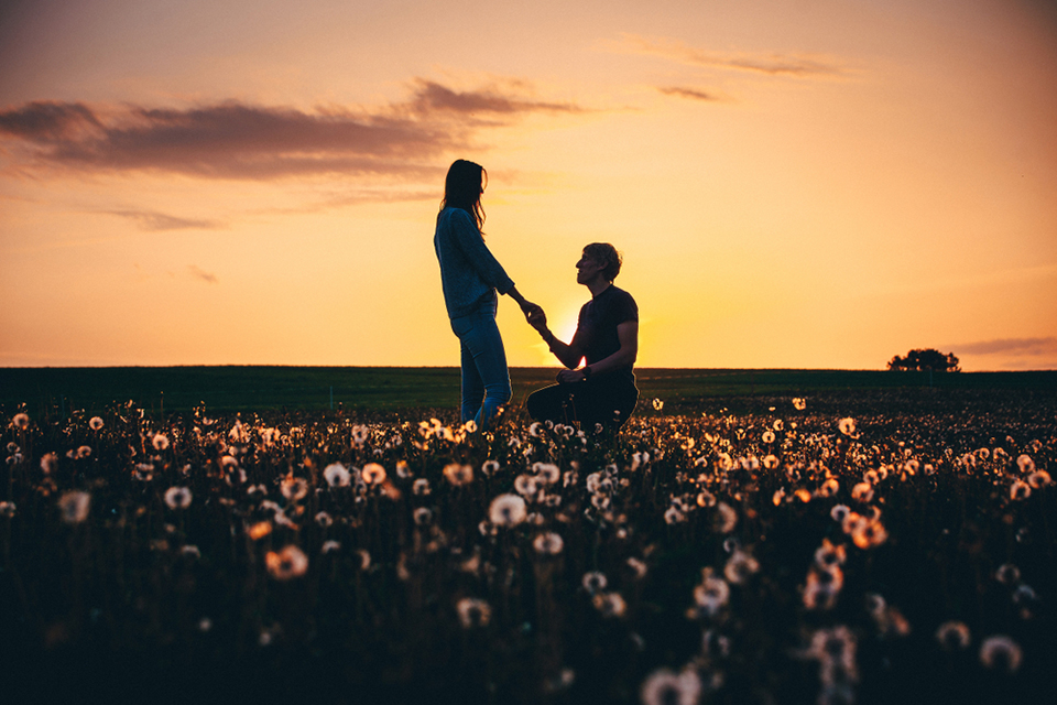 a proposal in a field of flowers